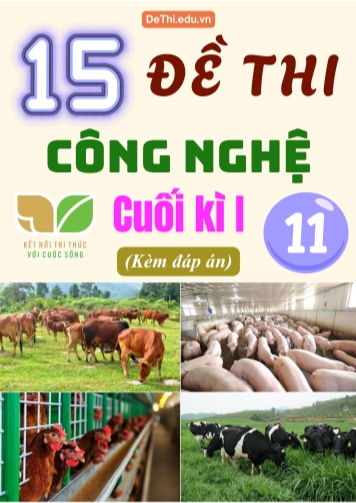 Tuyển tập 15 Đề thi Công nghệ Lớp 11 cuối Kì 1 sách Kết Nối Tri Thức (Kèm đáp án)